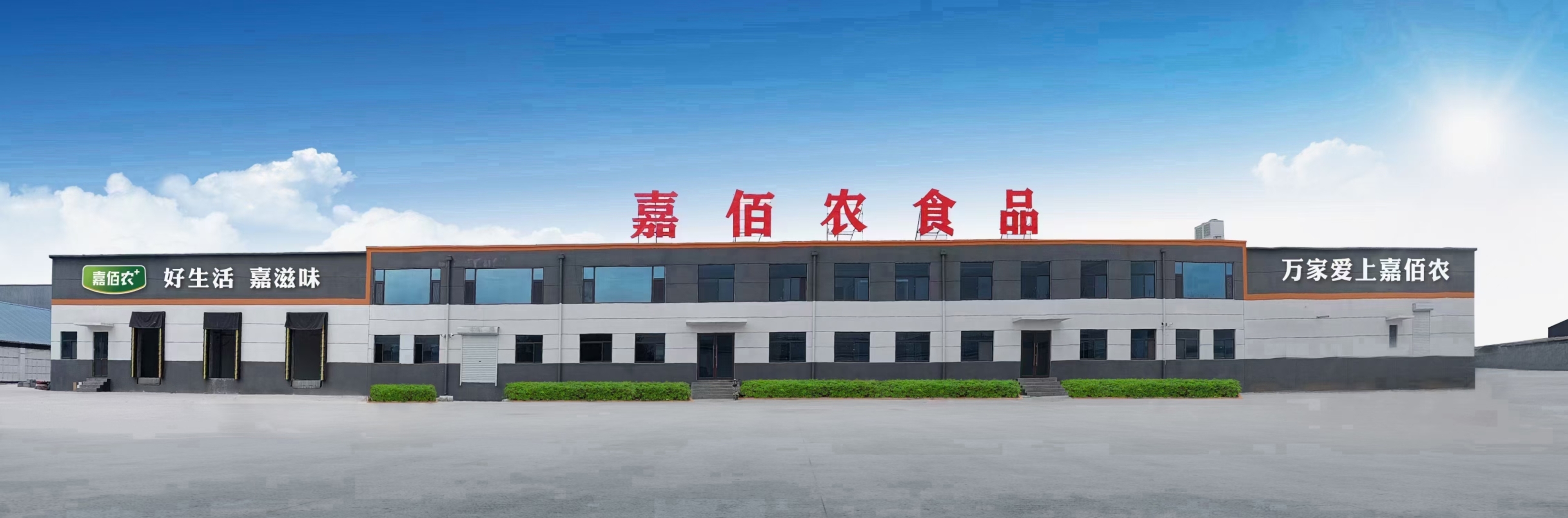 嘉佰农
